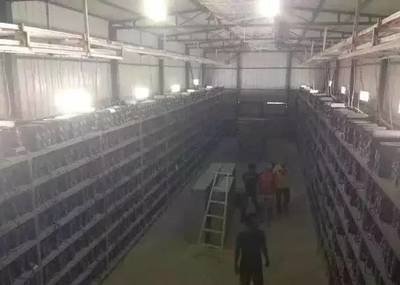 A solar panel array powering a row of mining rigs.