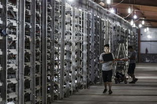 Mining farm setup