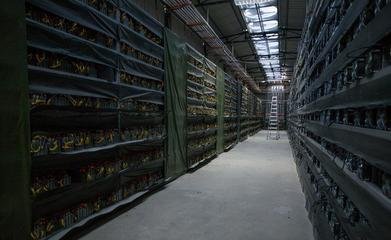 A bustling Kaspa mining farm setup with numerous miners working diligently