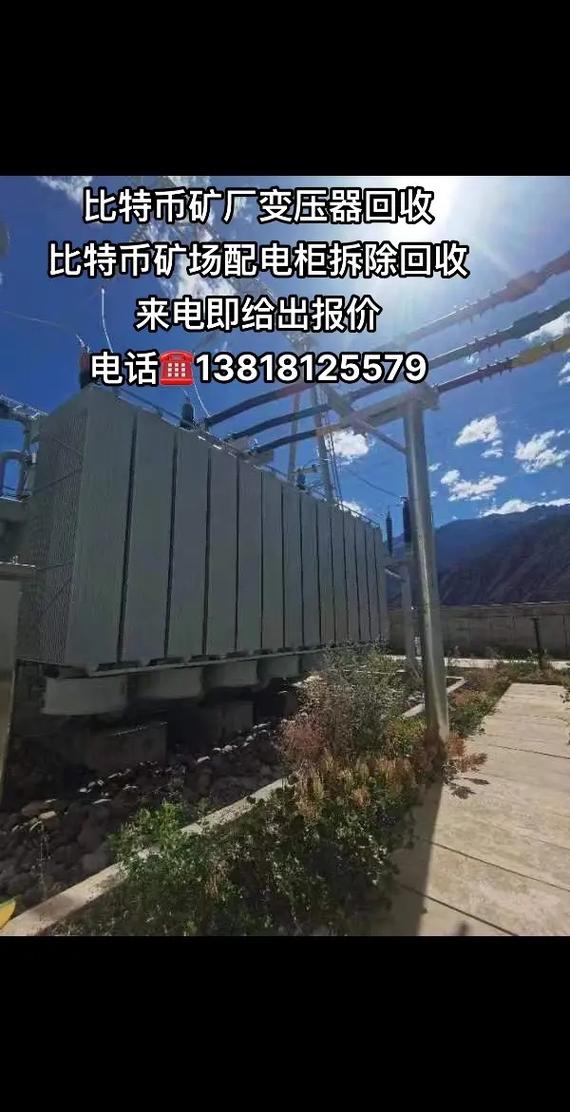 Mining farm hosting servers with rows of mining rigs