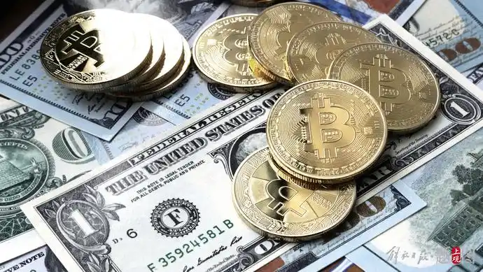 Mining farm with rows of mining rigs operating