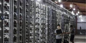 Large mining farm with high-efficiency power supplies